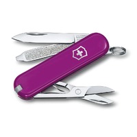 Victorinox Classic Sd - Purple 0.6223.52G